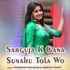 About Sarguja K Gana Sunahu Tola Wo Song